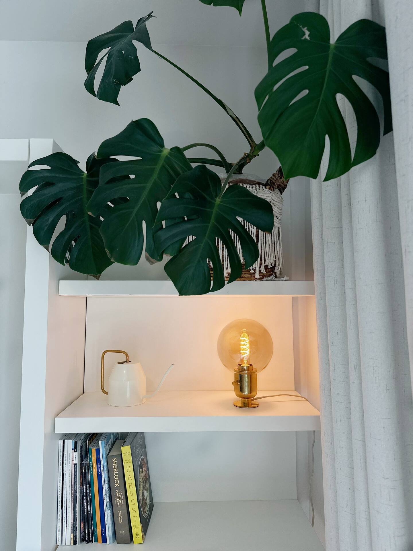 Monstera plant, vintage bulb lamp, and books